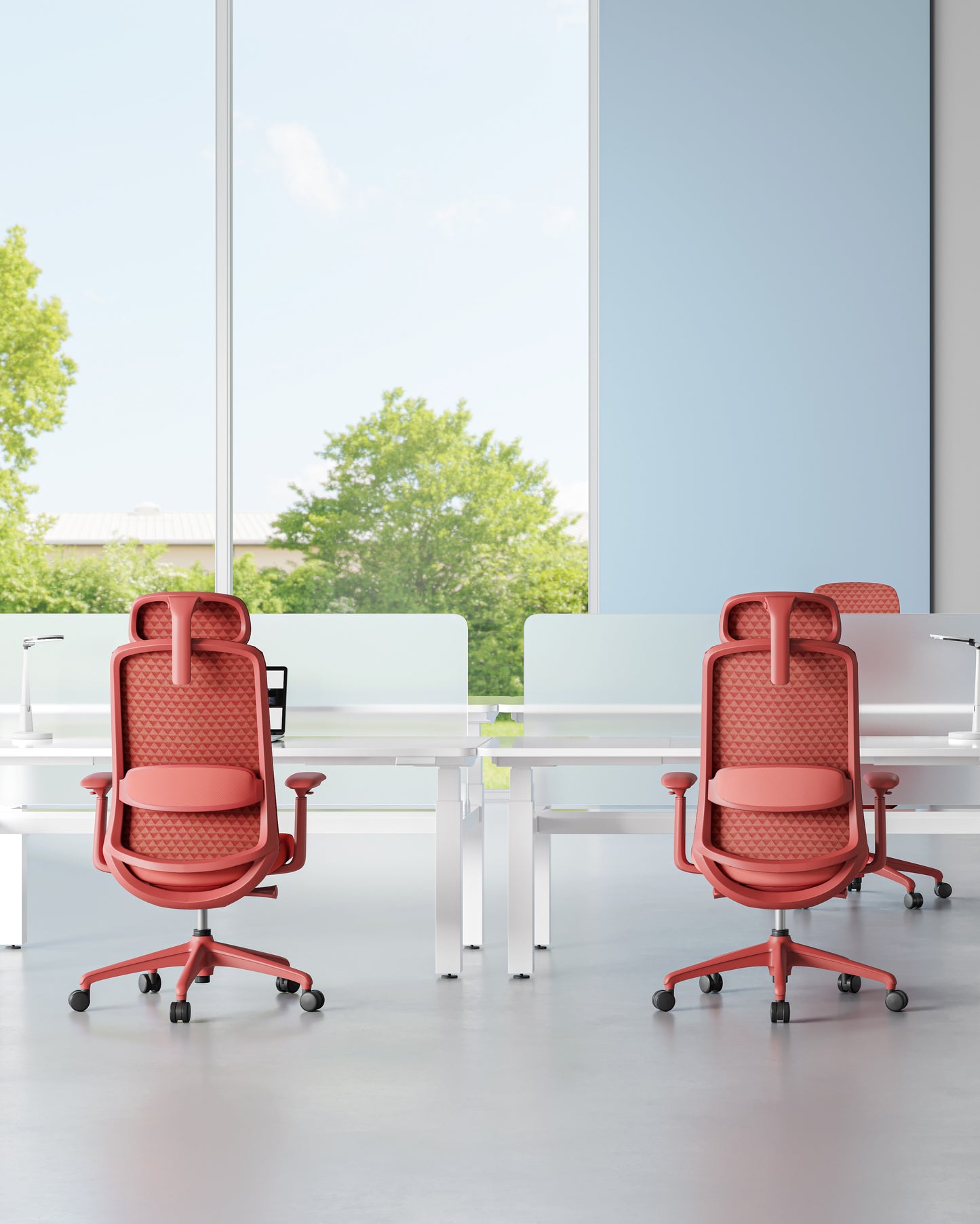 Opus Series - Bellucci & Ross