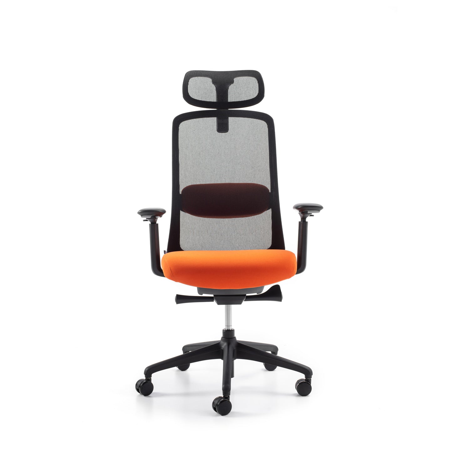 Karrige supervizore Serra