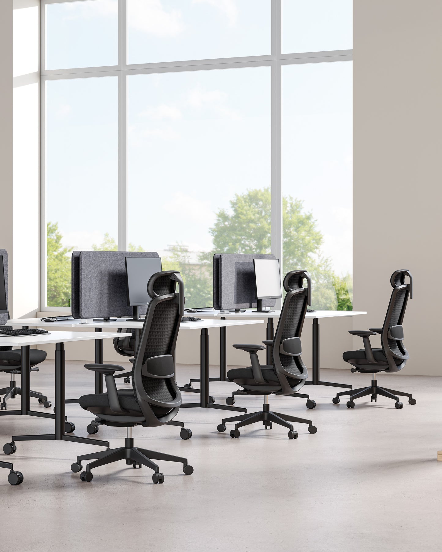 Opus Series - Bellucci & Ross