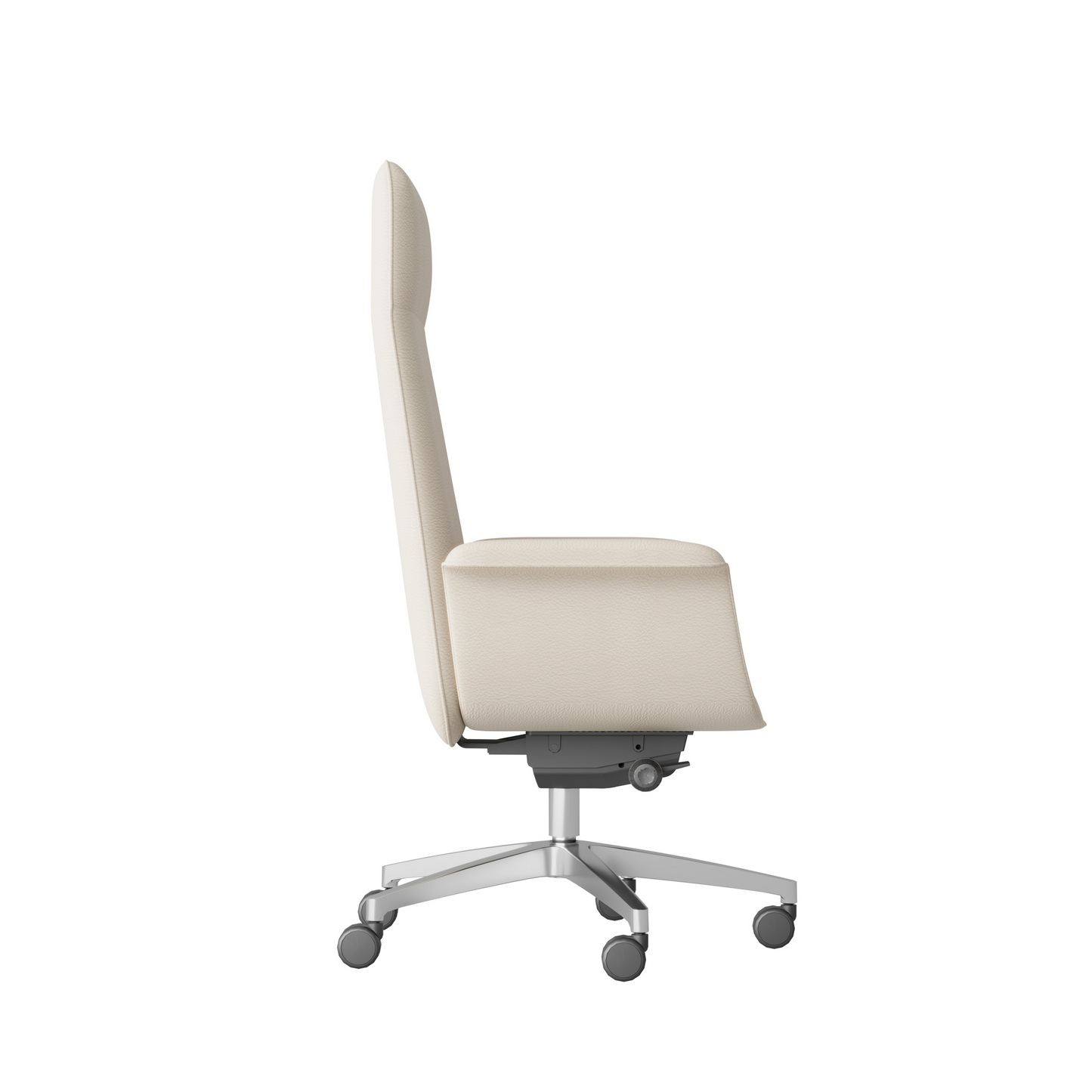 Kyra (Me shpinë të lartë)