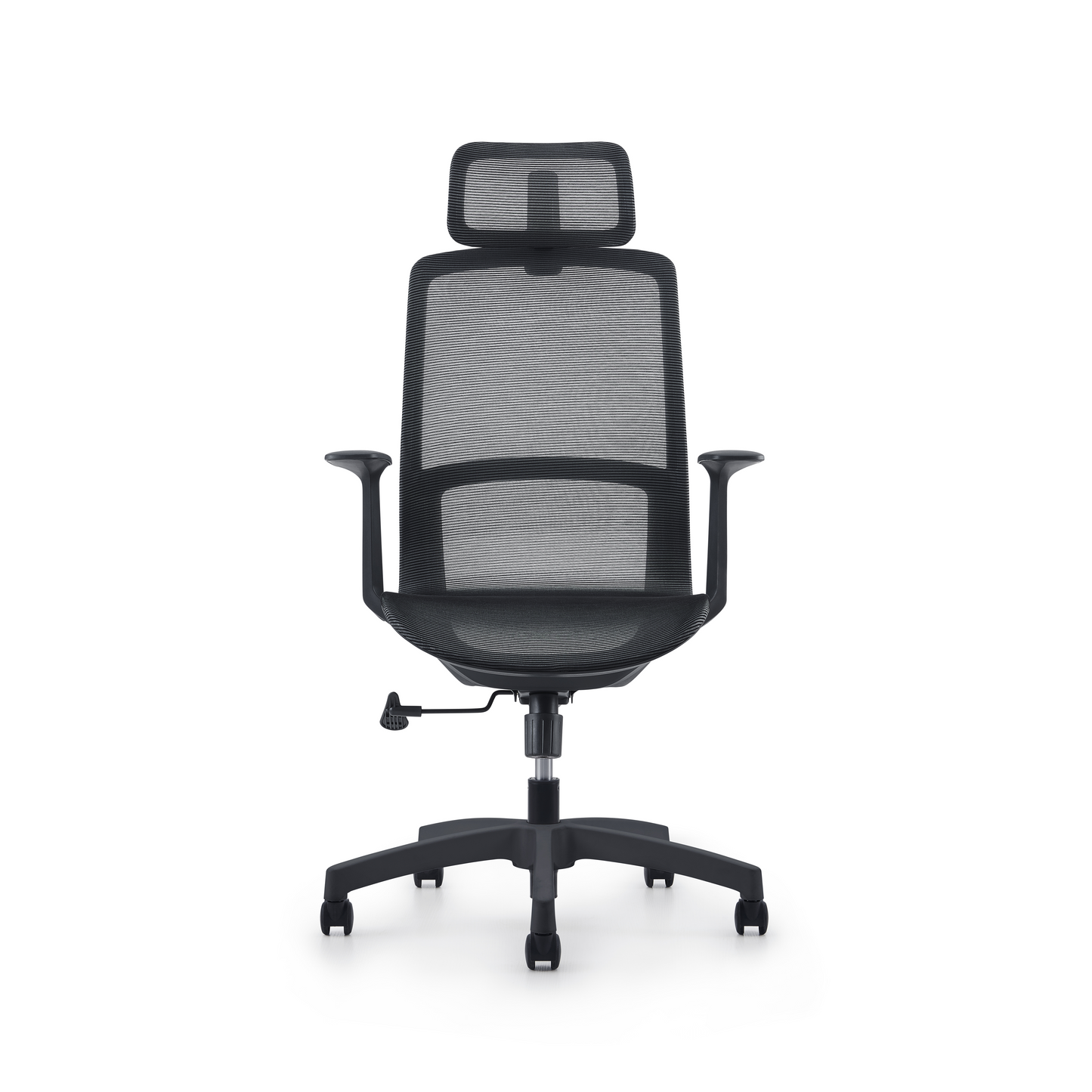 Karrige supervizore Atria