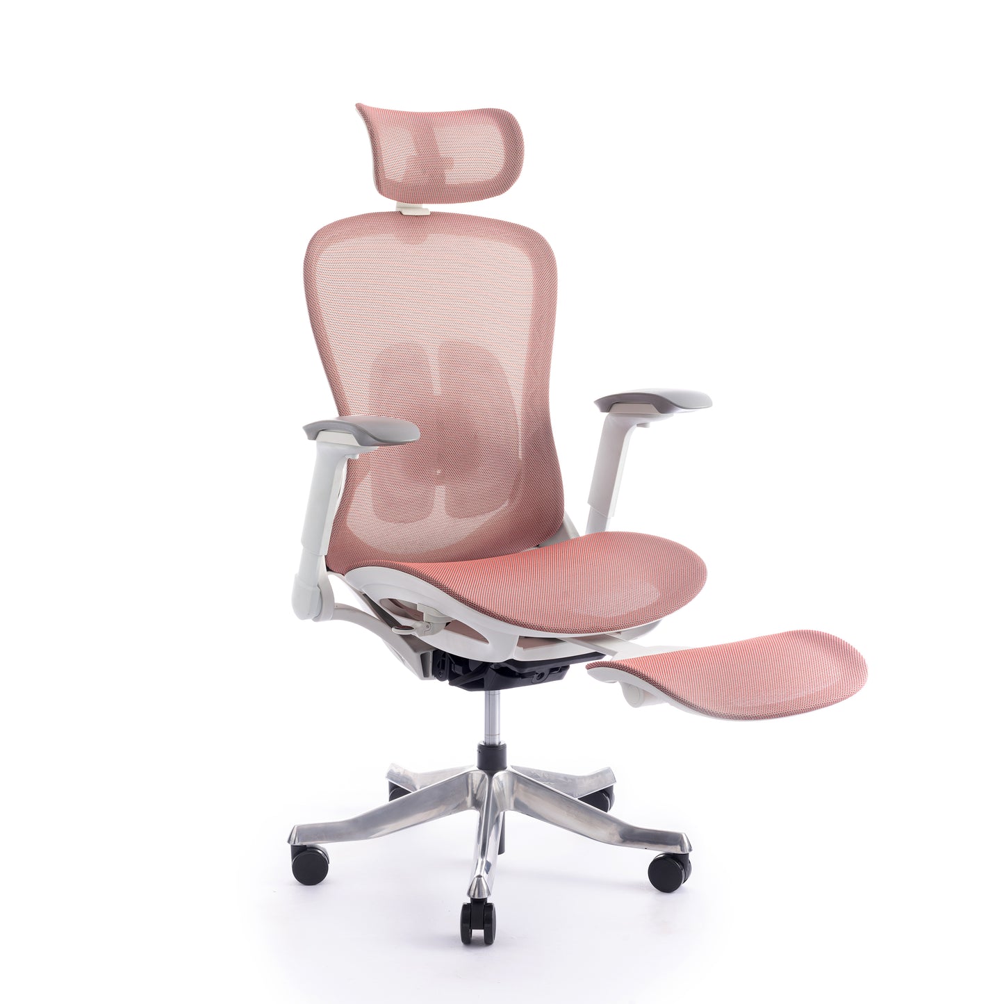 Karrige supervizore Sammy