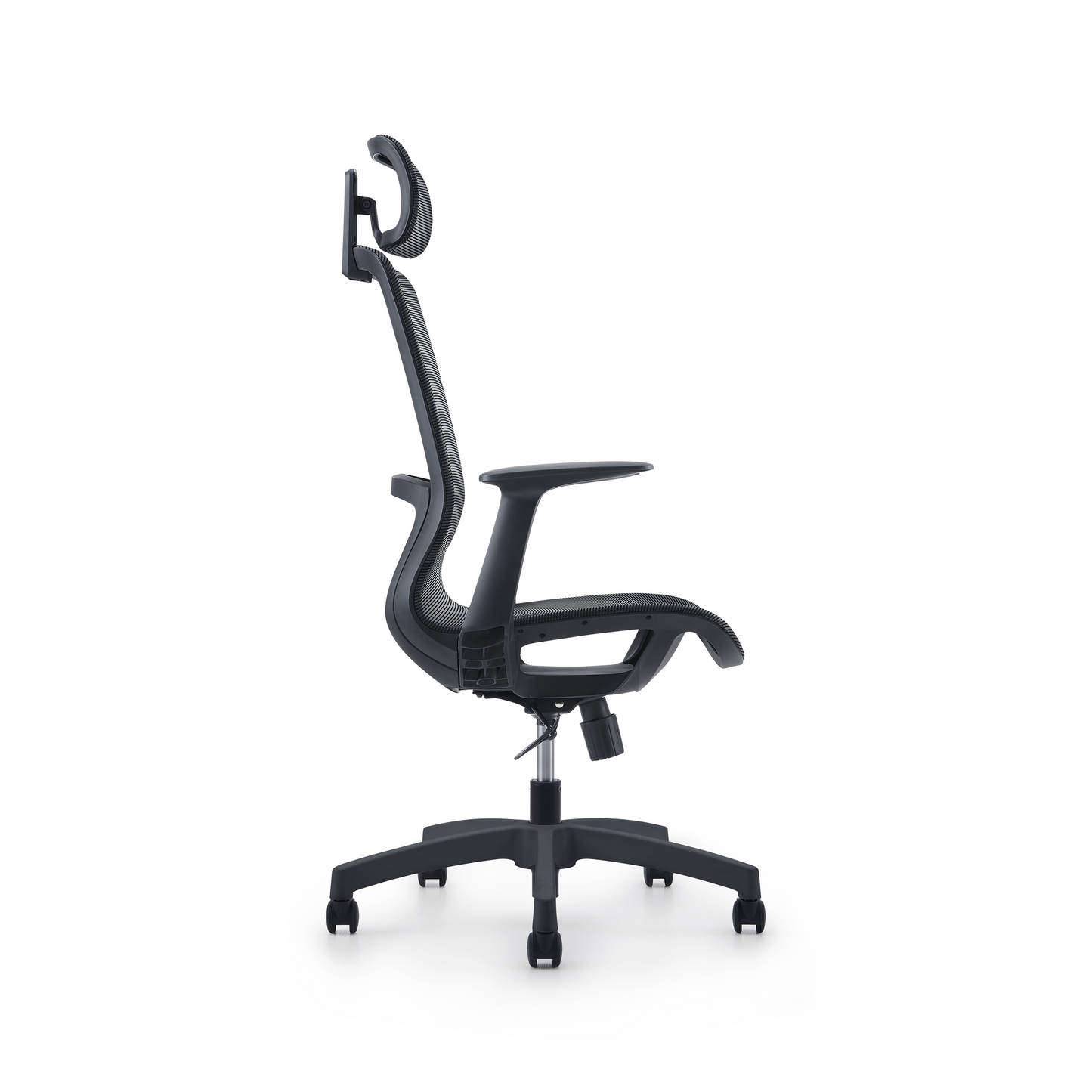 Karrige supervizore Atria