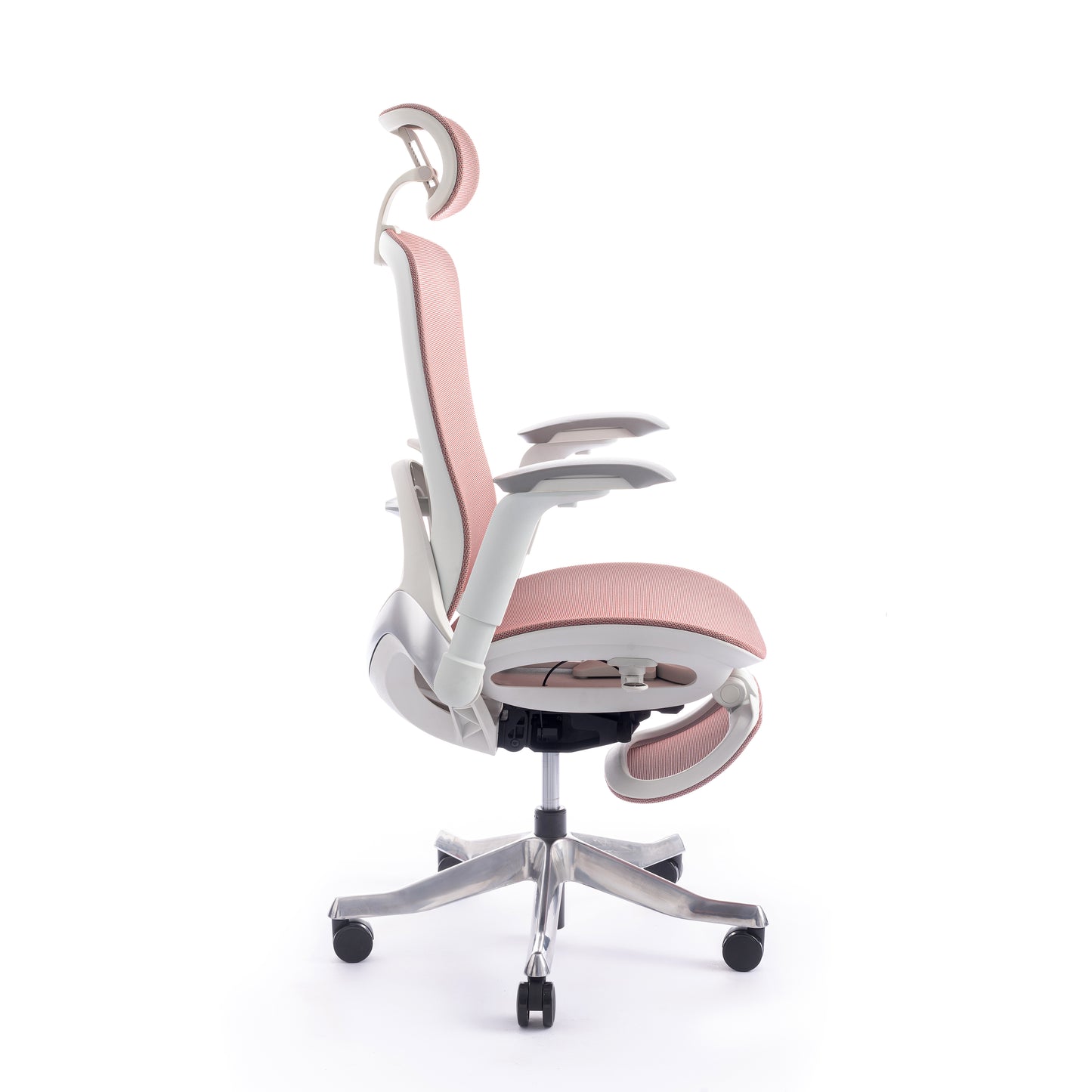 Karrige supervizore Sammy