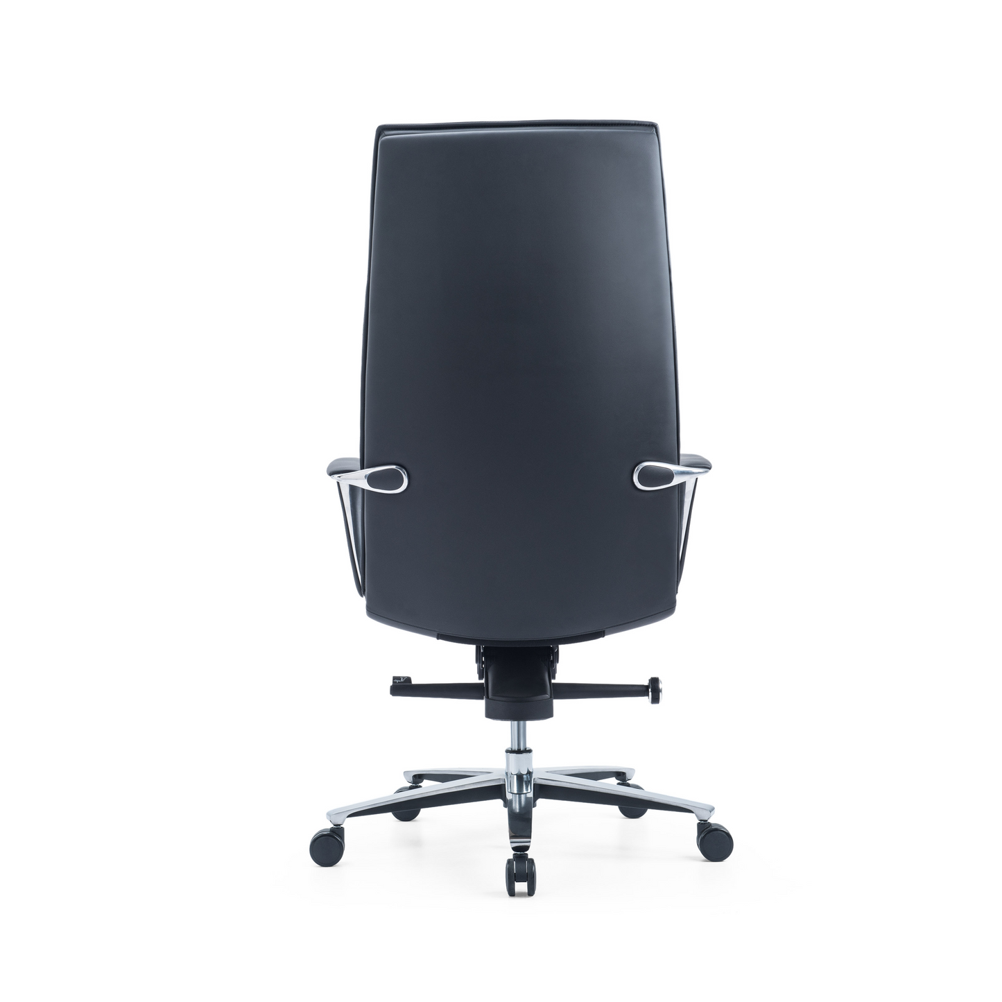 Novi (Me shpinë të lartë)