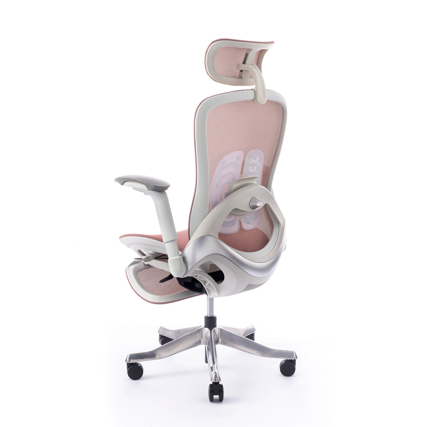 Karrige supervizore Sammy