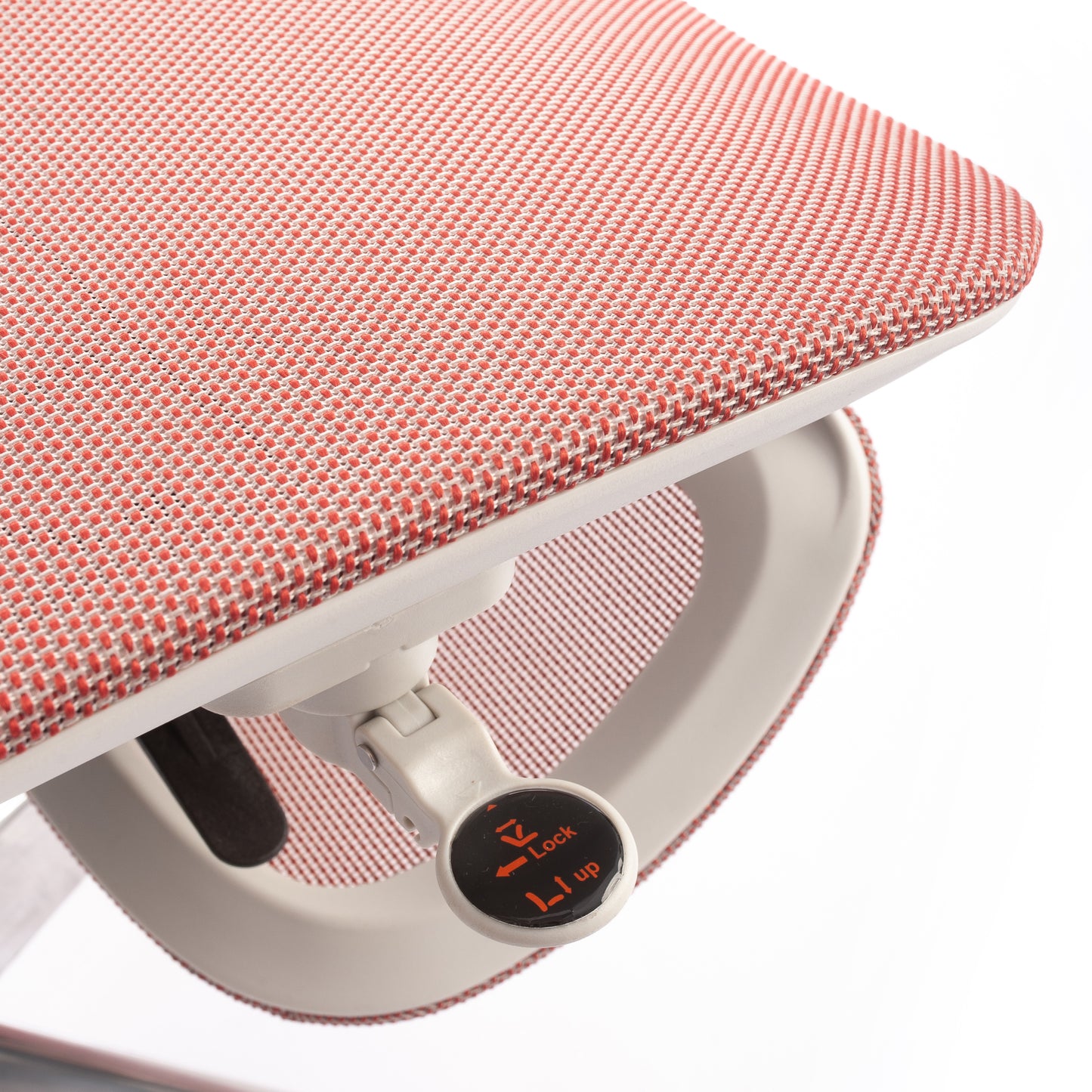 Karrige supervizore Sammy