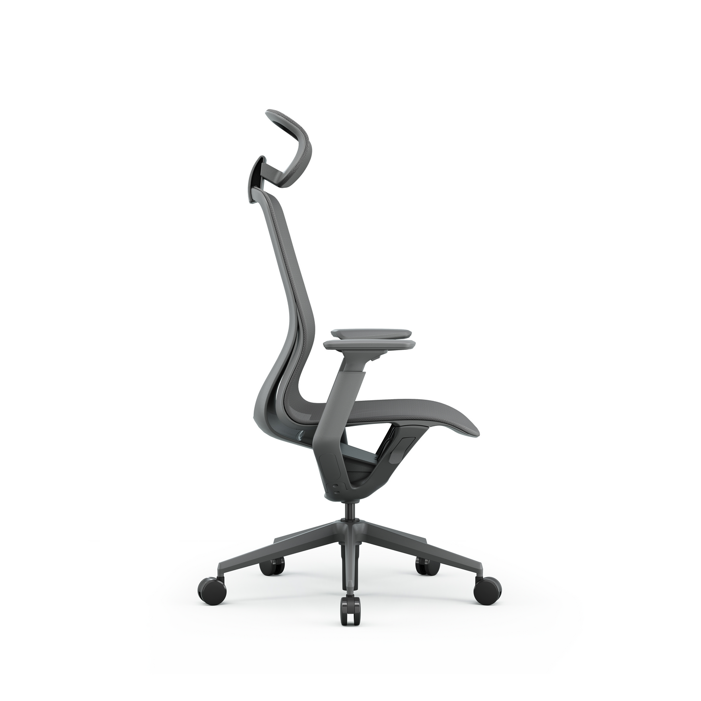 Maestro Series - Bellucci & Ross