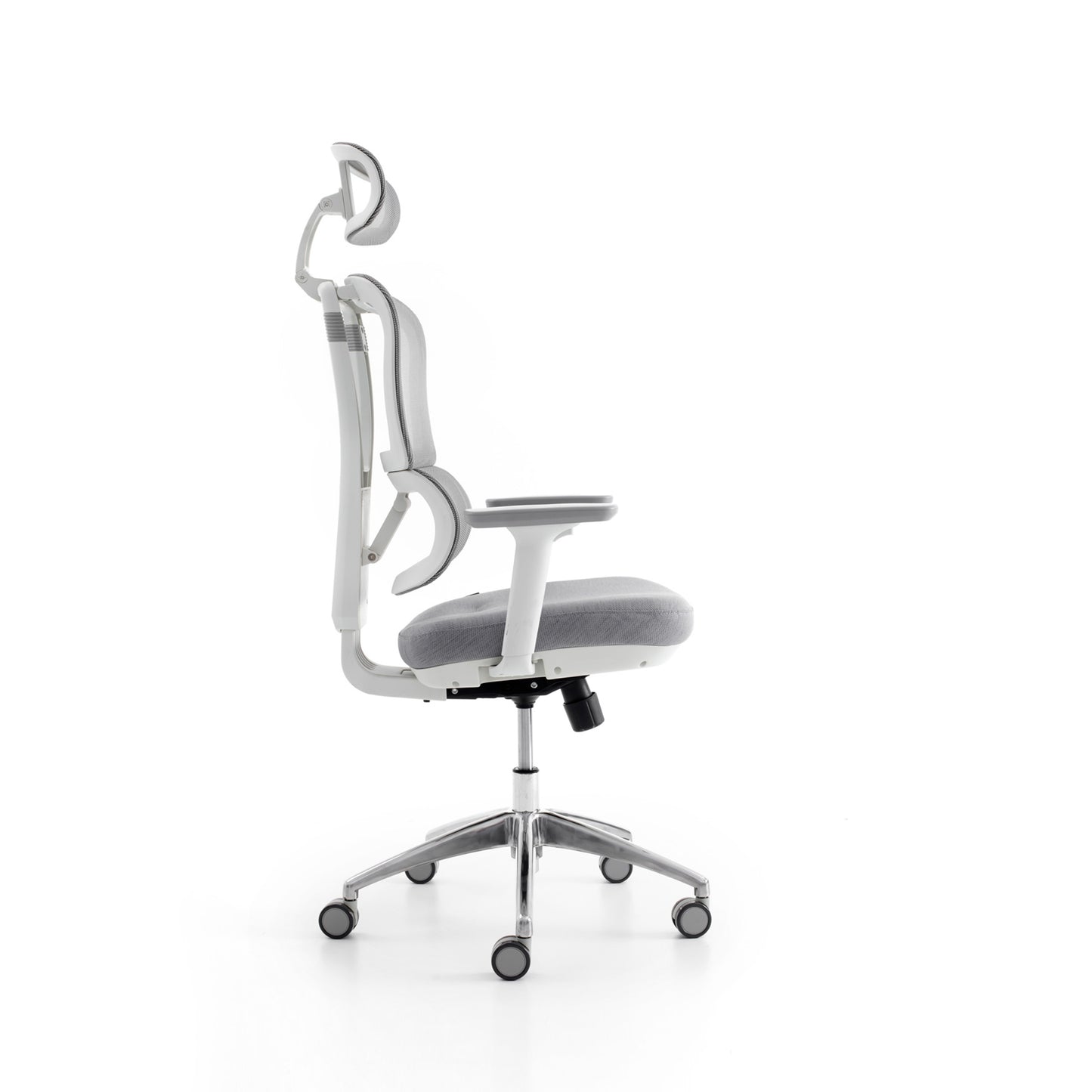 Rambo - Bellucci & Ross