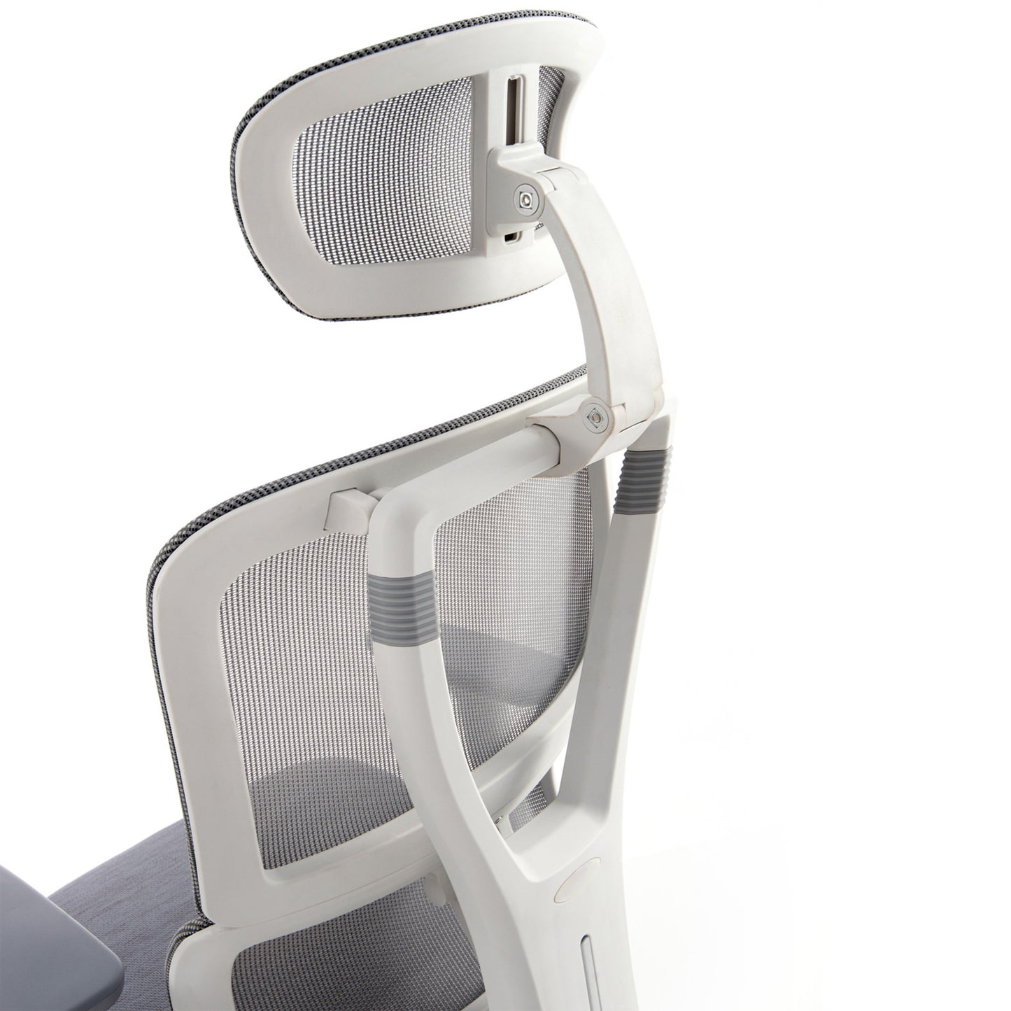 Rambo - Bellucci & Ross