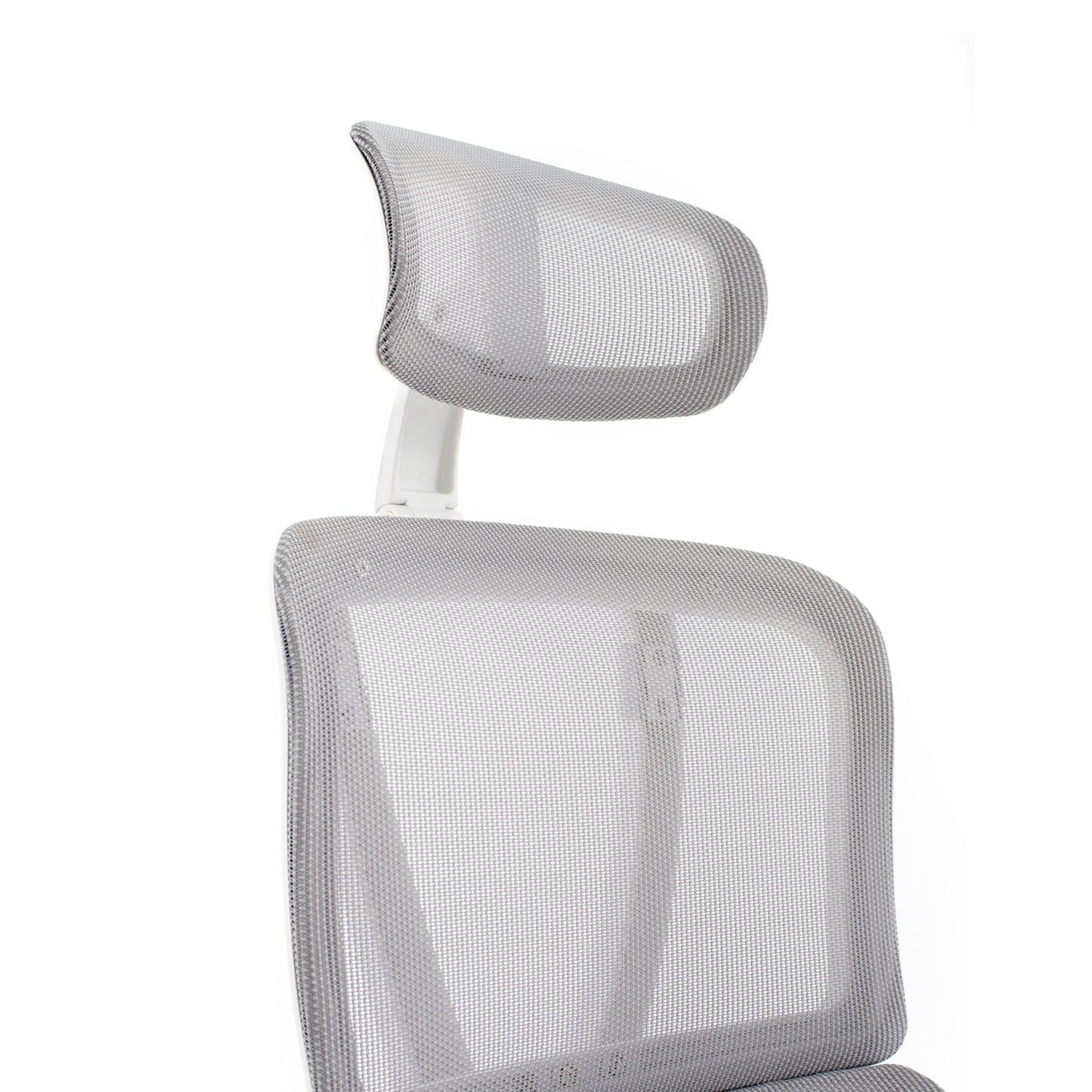 Rambo - Bellucci & Ross