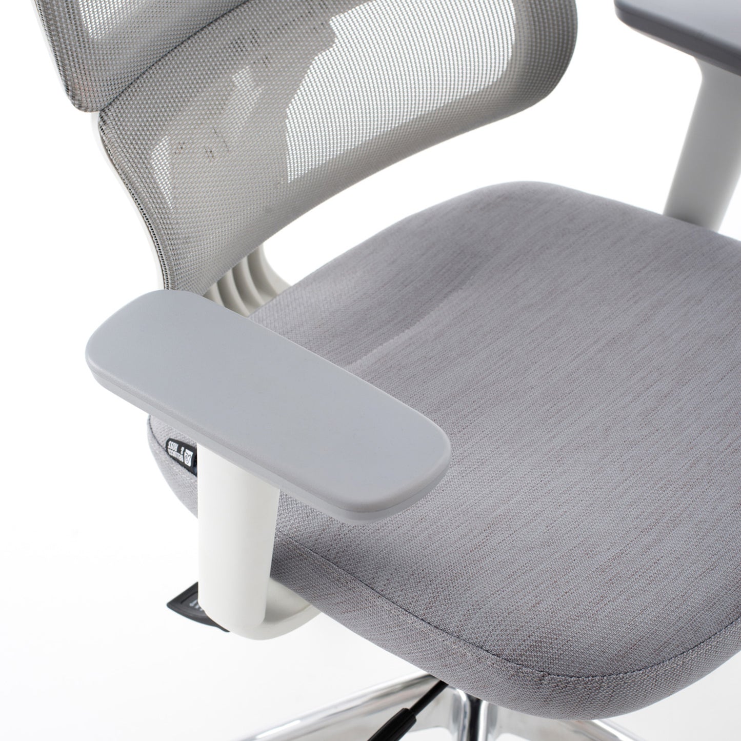 Rambo - Bellucci & Ross