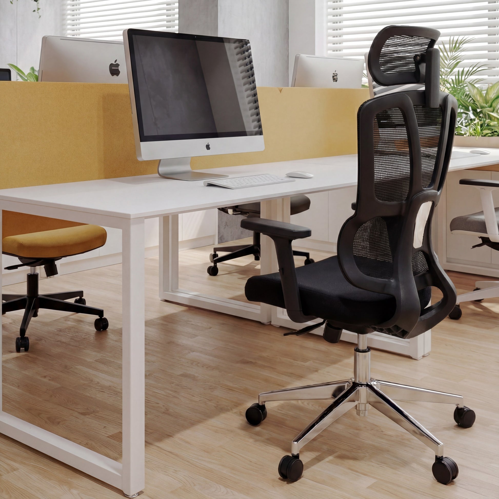 Arlie - Bellucci & Ross