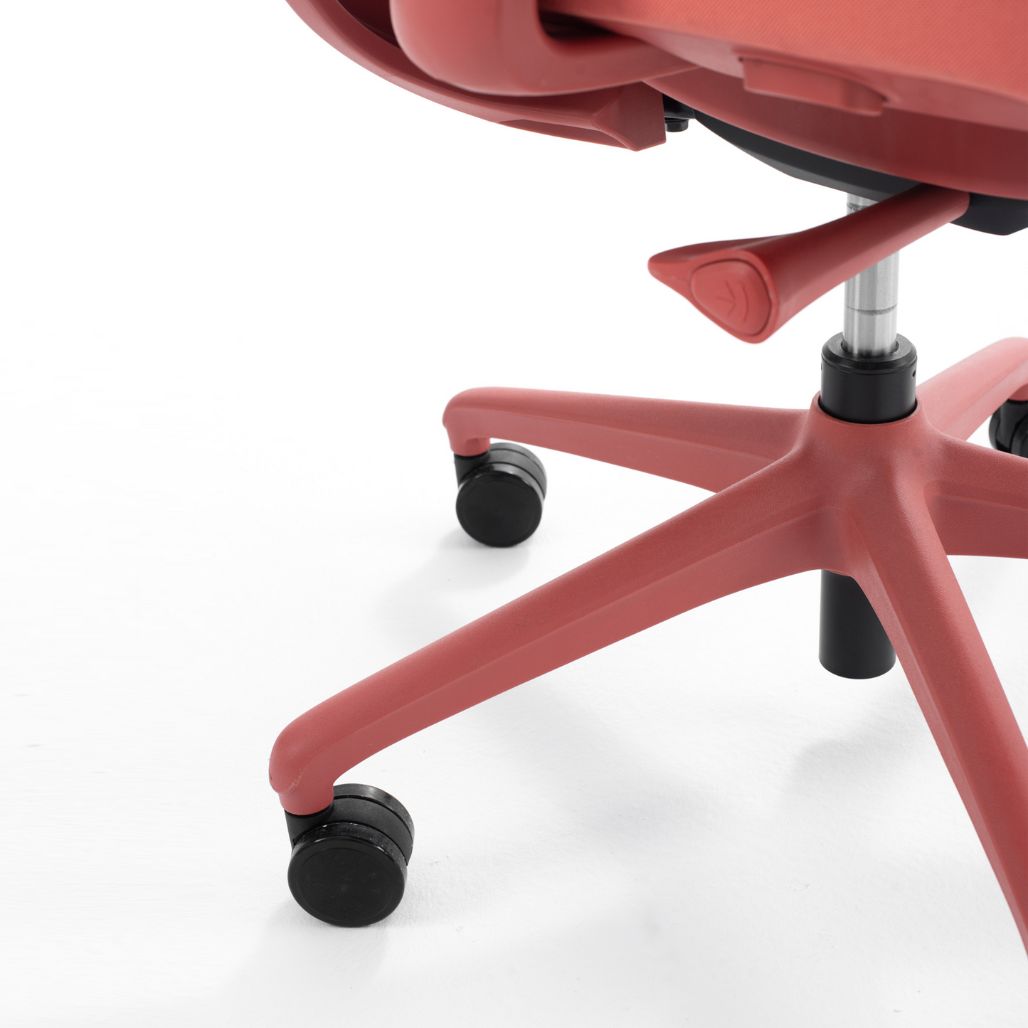 Opus Series - Bellucci & Ross