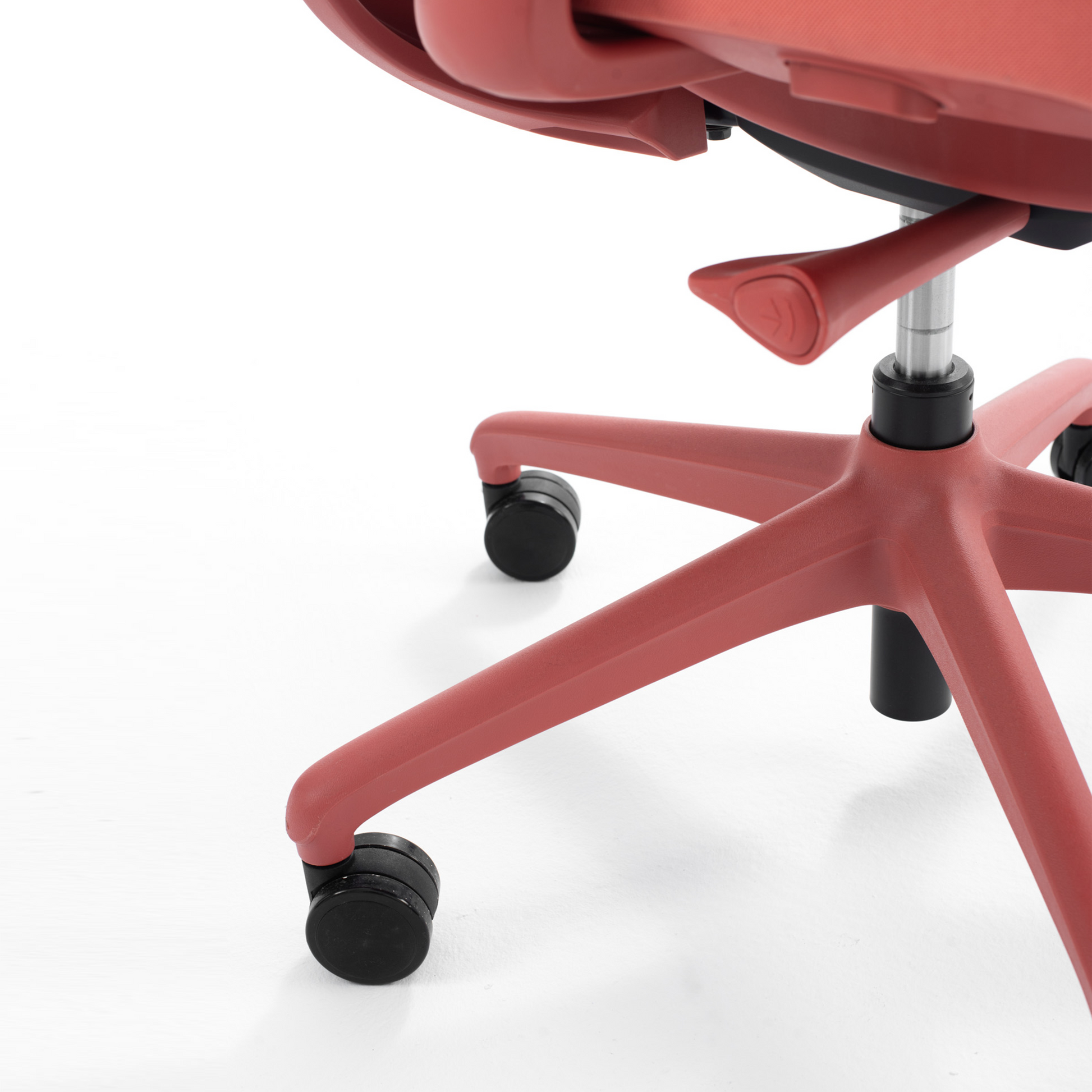 Opus Series - Bellucci & Ross
