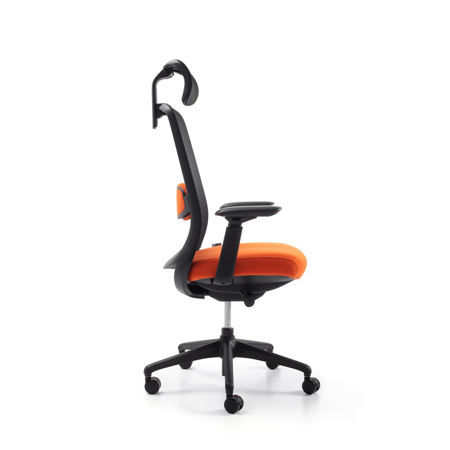 Karrige supervizore Serra