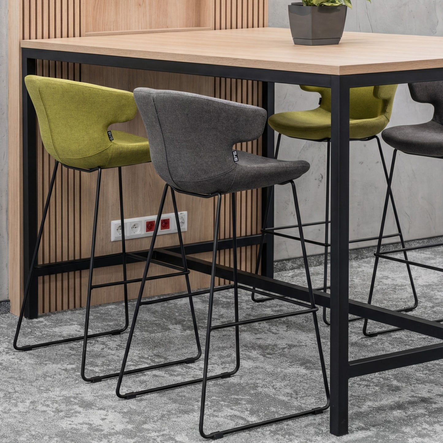 Pioneer Series - Bellucci & Ross