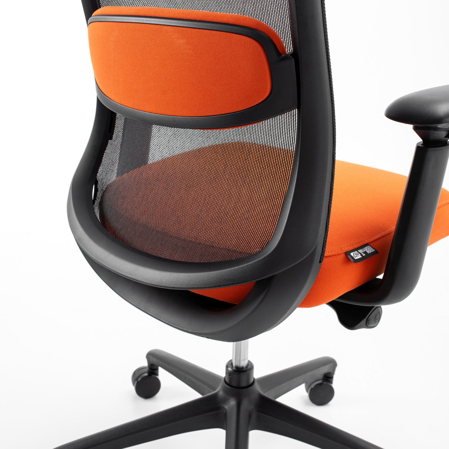 Karrige supervizore Serra