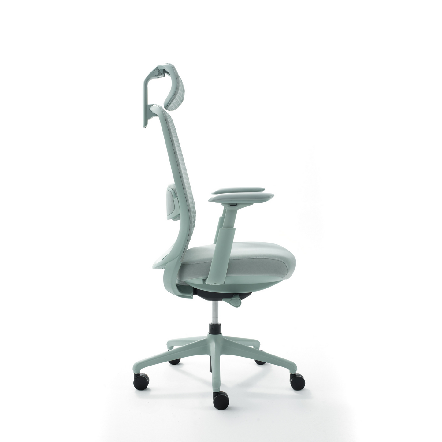 Opus Series - Bellucci & Ross