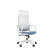 Brio Staff Chairs - Bellucci & Ross