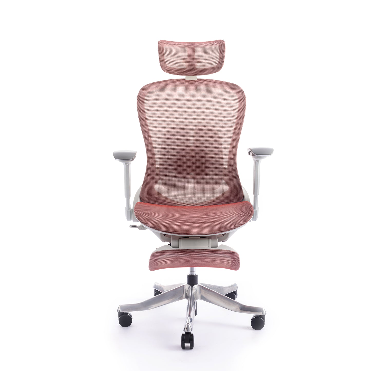 Karrige supervizore Sammy 