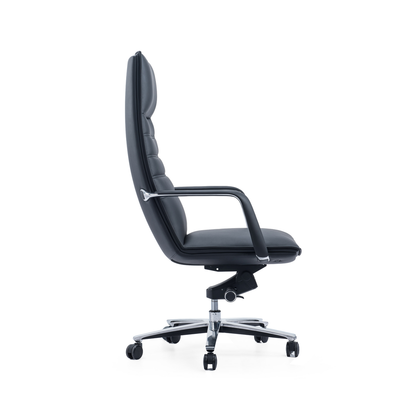 Novi (Me shpinë të lartë)