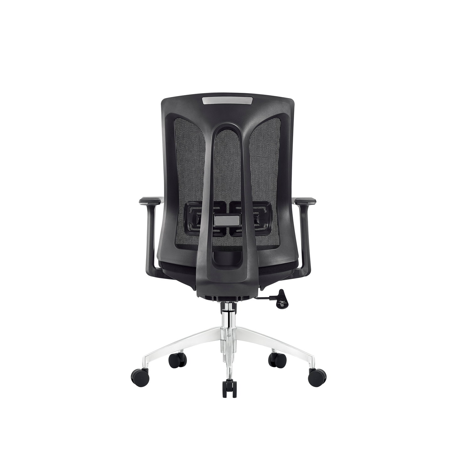 Caprice staff chairs - Bellucci & Ross