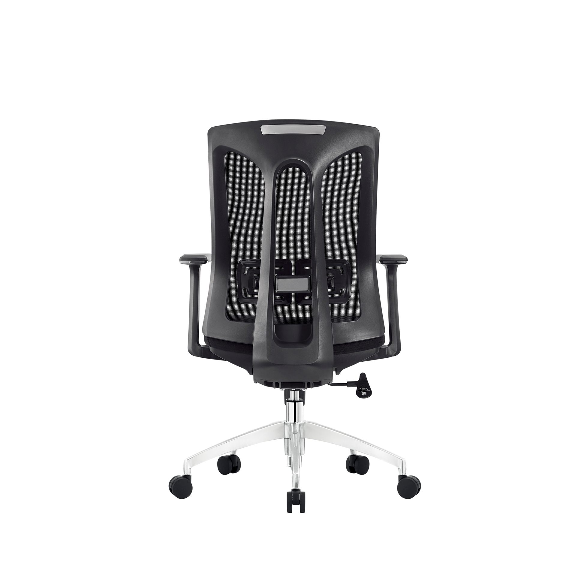 Caprice staff chairs - Bellucci & Ross