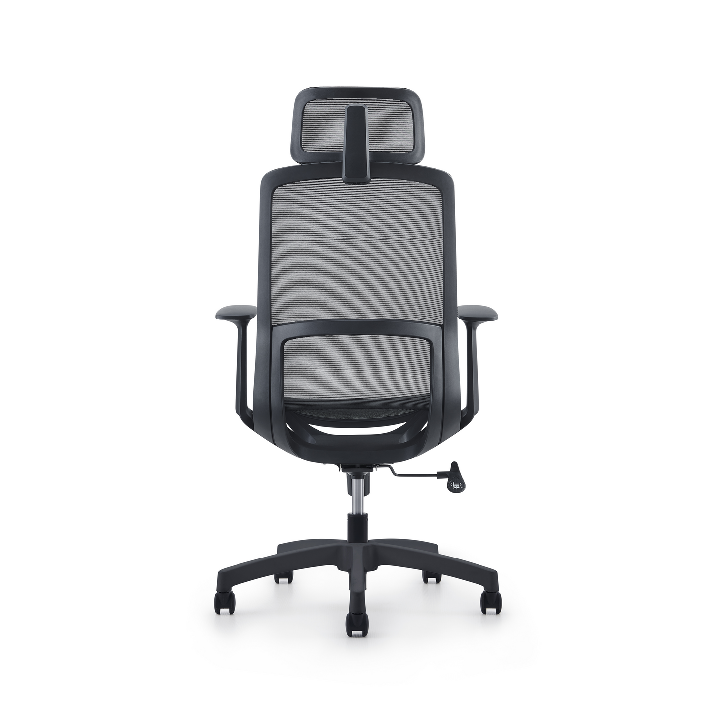 Karrige supervizore Atria 