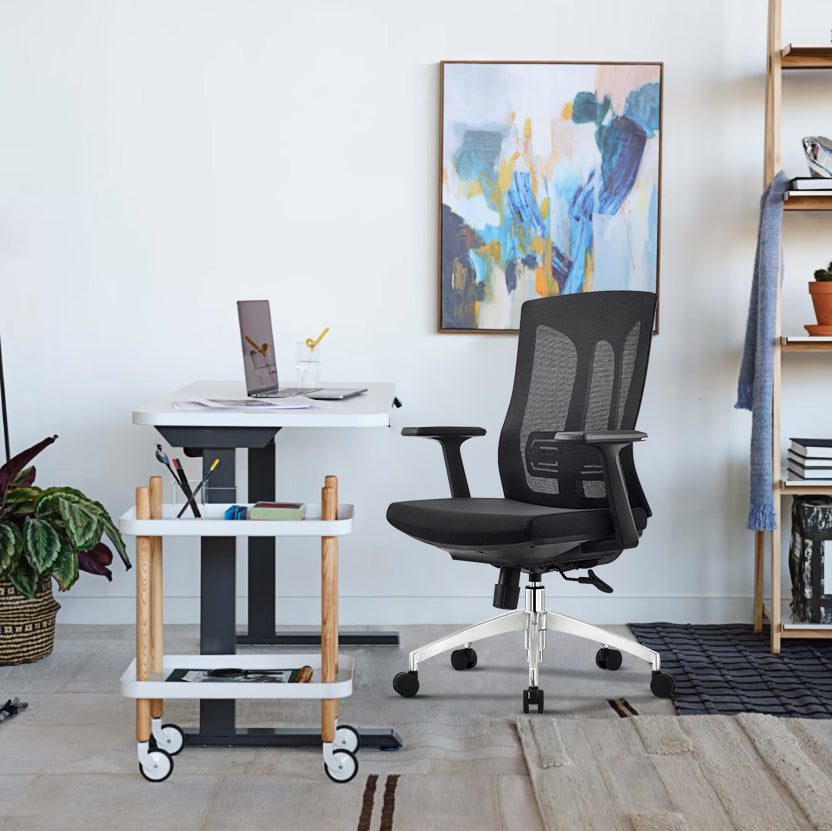 Caprice staff chairs - Bellucci & Ross