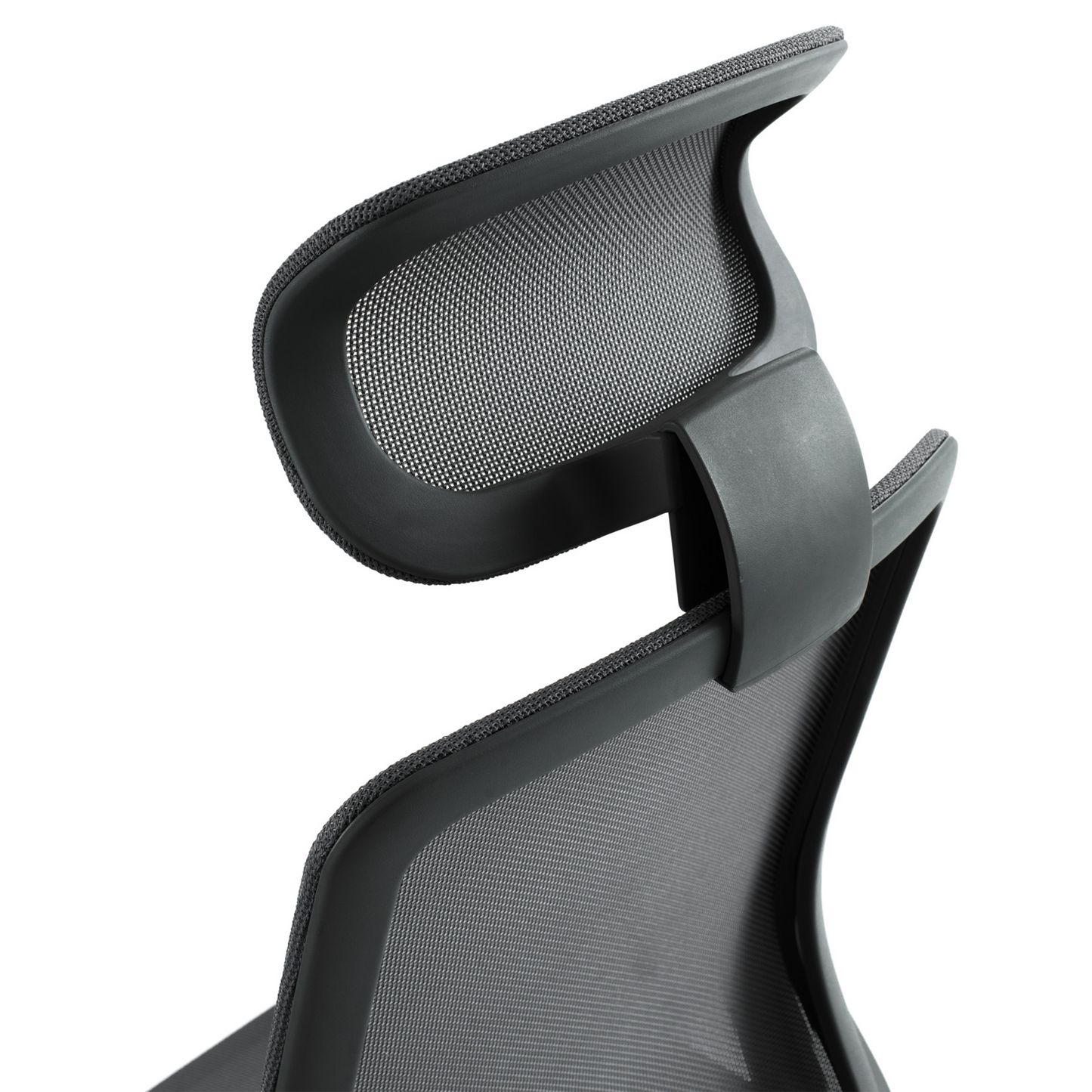 Maestro Series - Bellucci & Ross