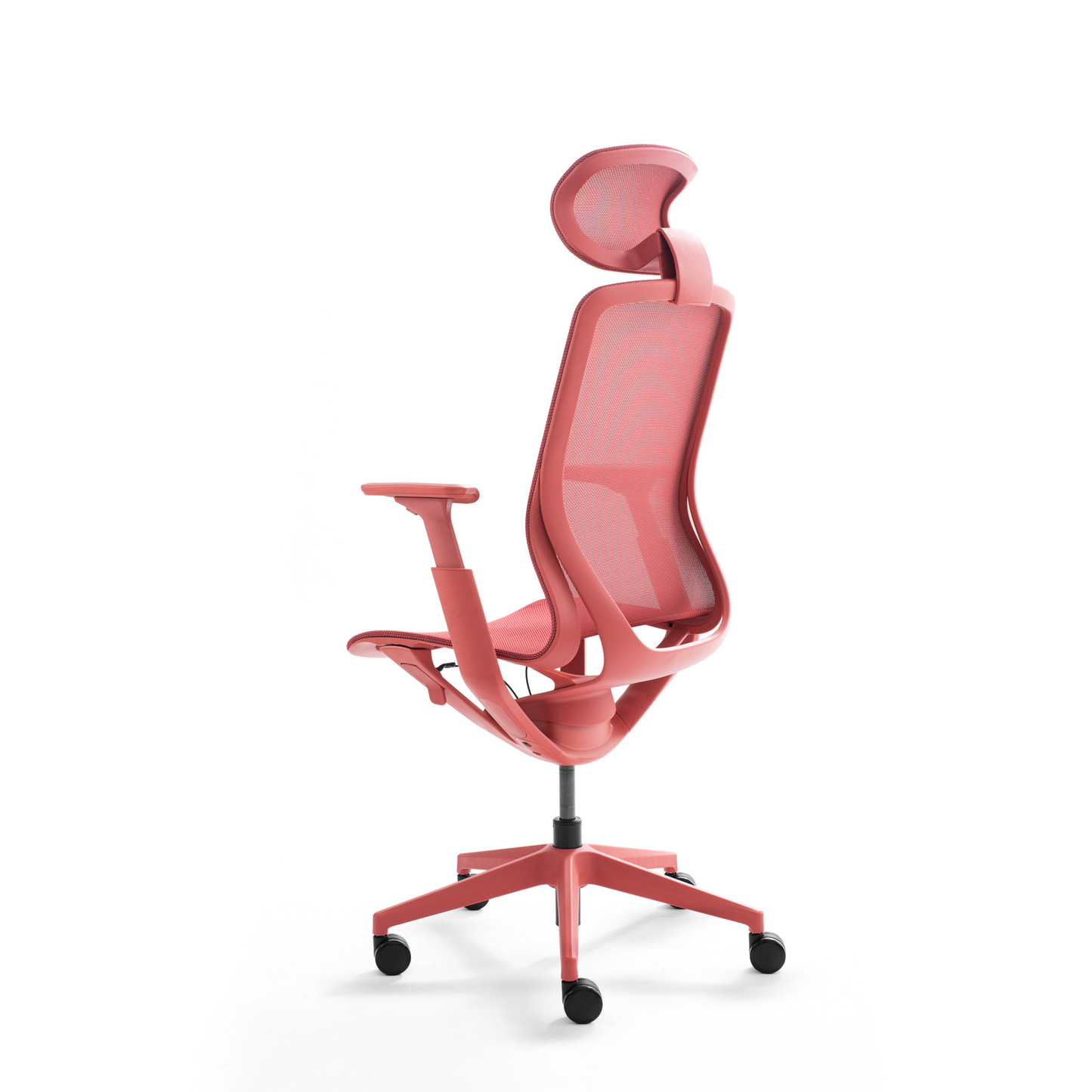 Maestro Series - Bellucci & Ross